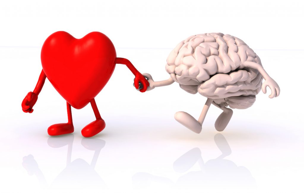 heart and brain that walk hand in hand, concept of health of walking